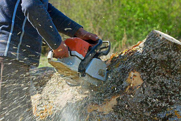 Best Hazardous Tree Removal  in Village Shires, PA